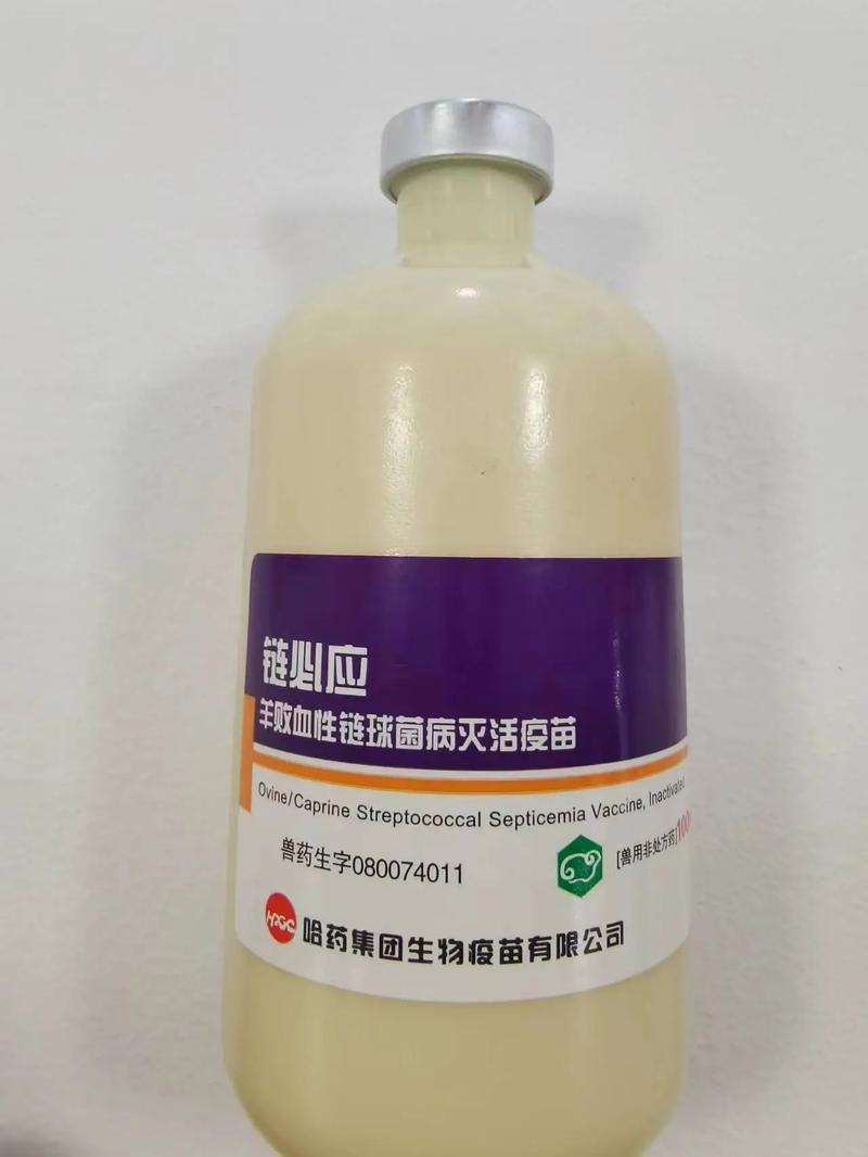 养殖户的福音 牛羊养殖中的兽药科学使用指南