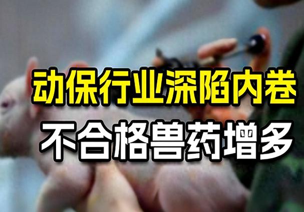 激战！兽药行业大洗牌 600余家企业遭清退，官方严查贴牌乱象与劣质兽药